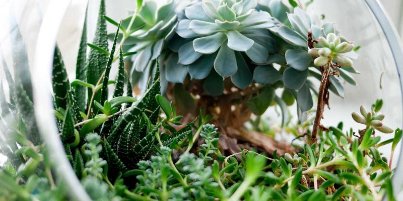 从玩家社区到工业战场：酸骑兵在工业清洗中的革命性应用与评测