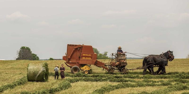 酸骑兵37：沉寂二十年的单机传奇，如何在玩家社区重燃星火？