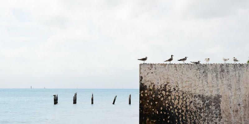 酸骑兵81深度评测：复古像素下的硬核机甲狂想曲