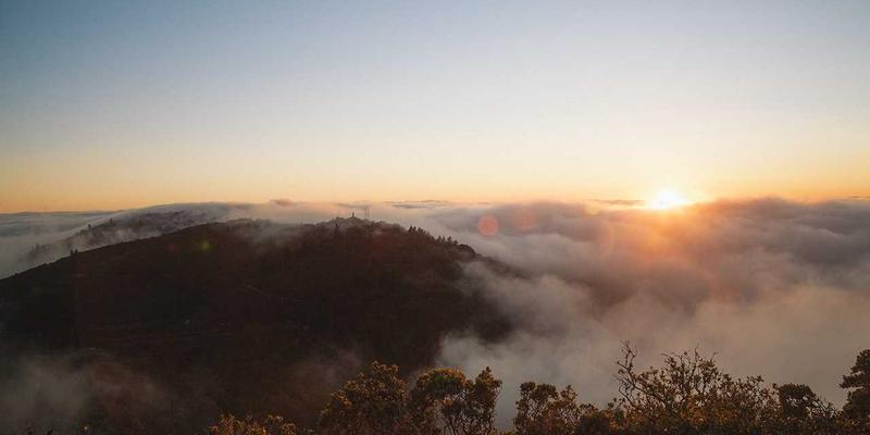 酸骑兵8：在单机与网络的十字路口，重铸经典战棋的荣光