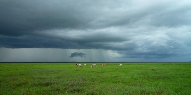 酸骑兵97深度评测：被遗忘的移动端硬核机甲战争