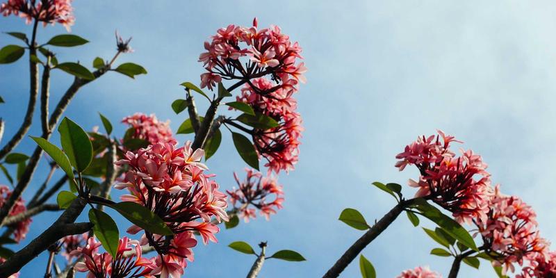 《酸骑兵》深度评测：当游戏安全协议成为现实HSE管理的虚拟沙盘