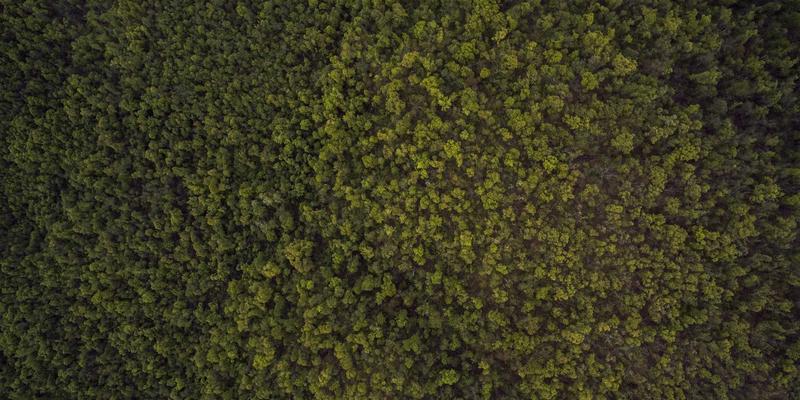 《酸骑兵》环境危害动态演化机制解析：污染扩散与连锁反应的深度研究