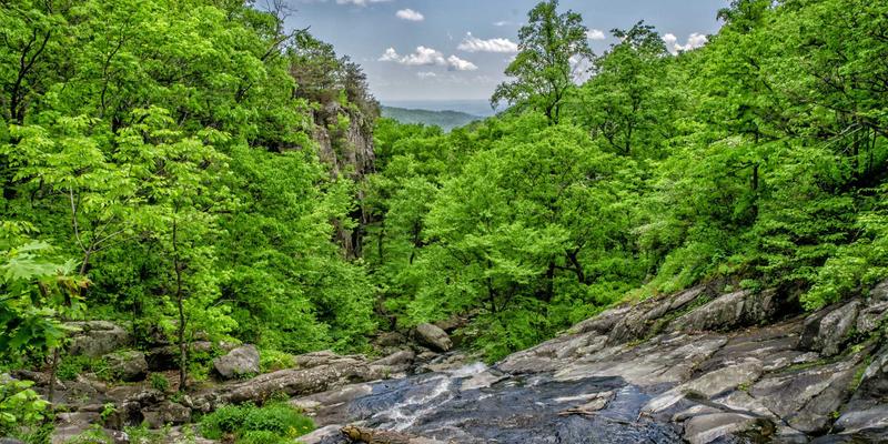 酸骑兵经济系统模拟：从清洁服务定价到虚拟期货市场的手机游戏经济研究