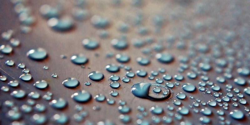 酸骑兵趋势：从硬核游戏评测到玩家社区生态的全面解析