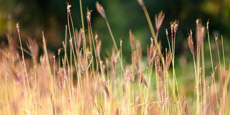 酸骑兵跨平台联机深度解析：PC与主机玩家协同作战的交互设计差异与实战攻略